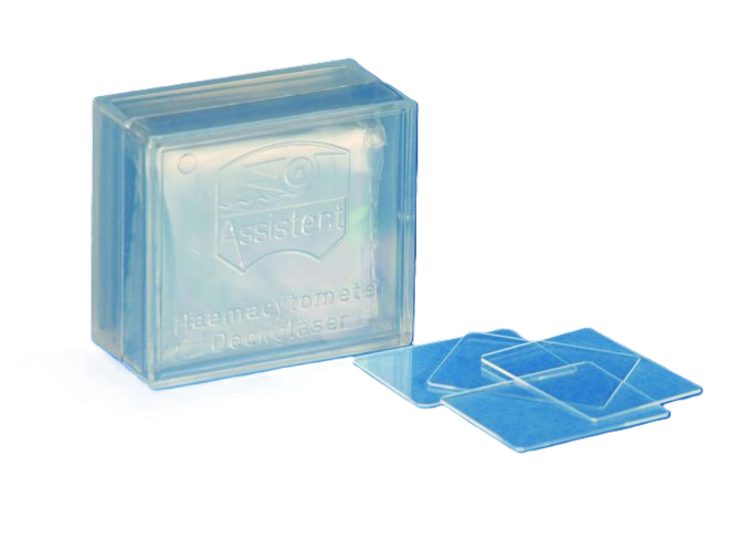 Deckgläser für Mikroskopie - 60 x 24 mm - 100 Stück