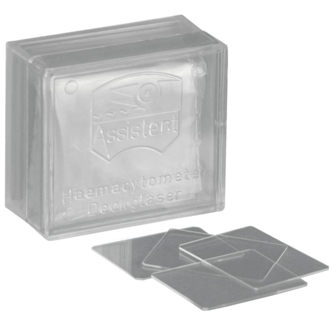 Deckgläser für Mikroskope - Deckglas groß - 24 x 50 mm - 100 Stück