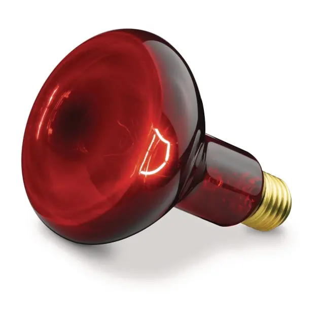 Beurer Ersatzstrahler ( SIL 06/IL 11 100W ) für medel® Infra Red Infrarotlampe