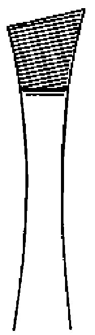 Zepf Cilienpinzette - 9,0 cm