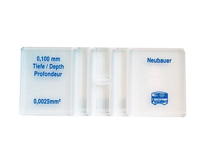 Hecht Zählkammern Neubauer