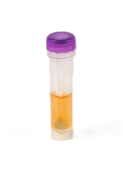 SteriCLIN Pyromol-Test / Protein-Test - 20 Stück
