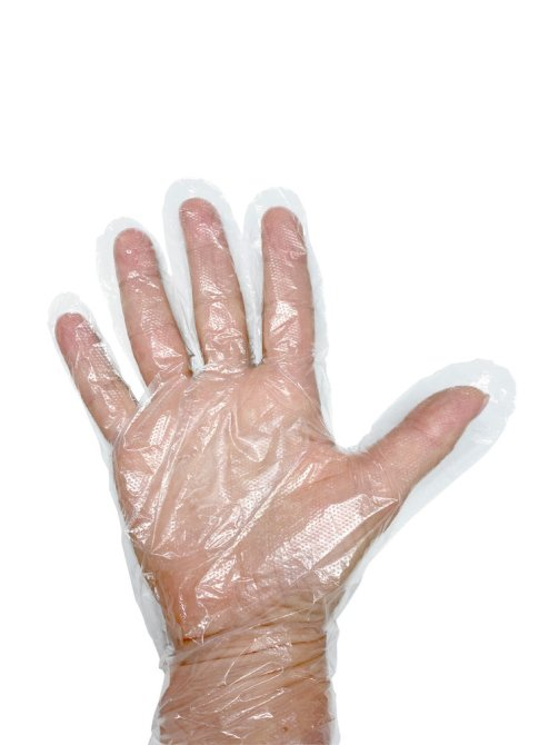 PE-Handschuhe Herren im Dispenser 100 Stück
