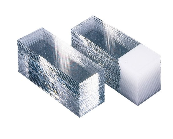 Objektträger & Zählkammern